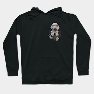 weimaraner dog lover Hoodie